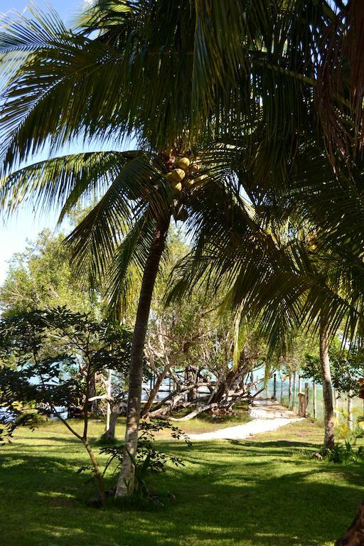 Casa Caracol Hotel Bacalar Exterior photo
